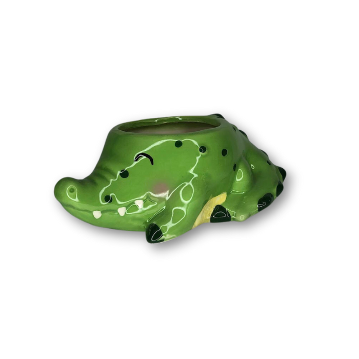 Alligator Flower Pot