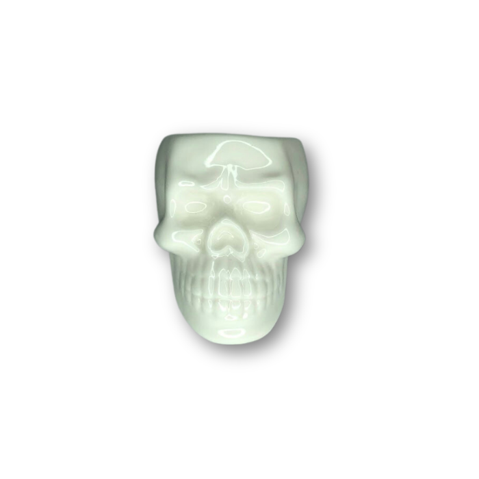 White Skull Air Plant Pot Planter