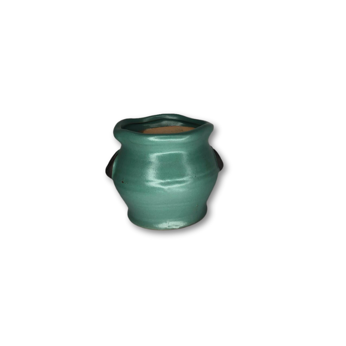 Green Pot with Handles