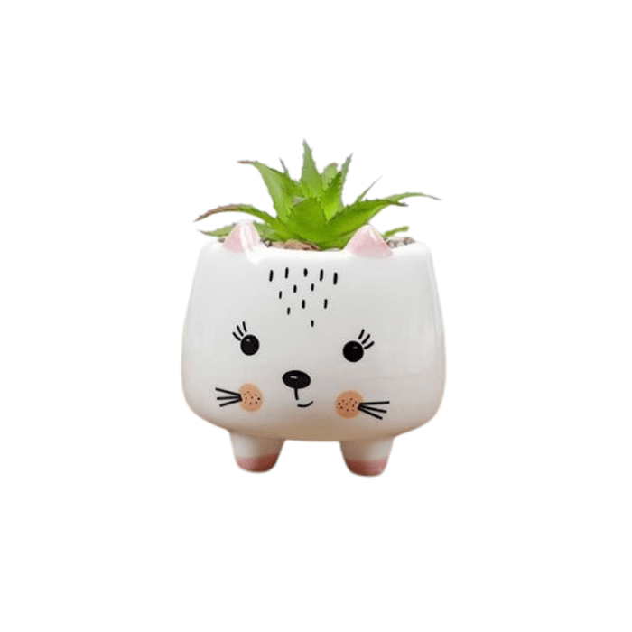 Ceramic Round Kitty Cat Succulent Plant/Pot - Style 3 - Elkhorn Succulents