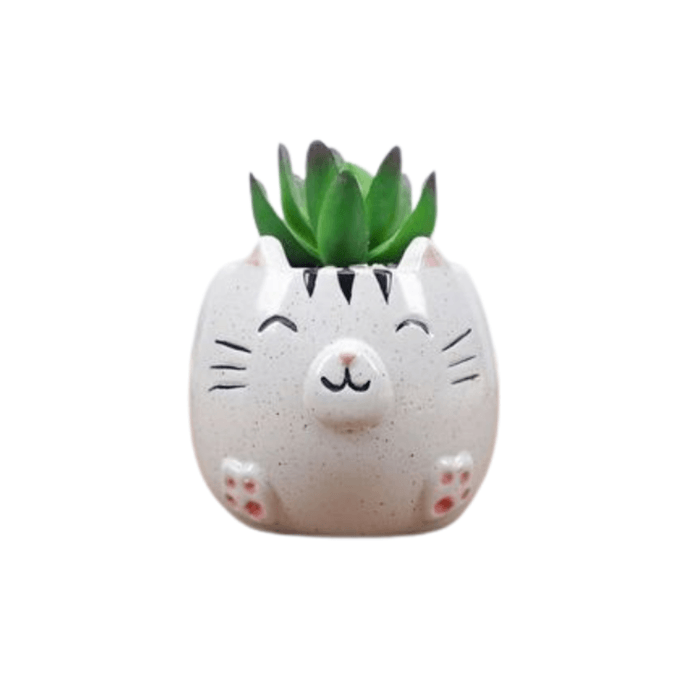 Ceramic Round Kitty Cat Succulent Plant/Pot - Style 6 - Elkhorn Succulents