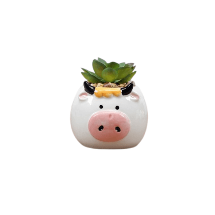 Cute Bull/Cow Succulent Planter - Elkhorn Succulents