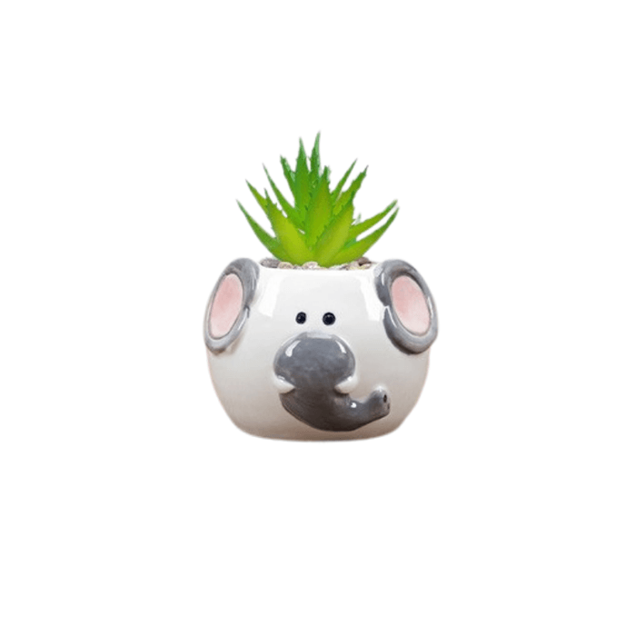 Cute Elephant Succulent Planter - Elkhorn Succulents