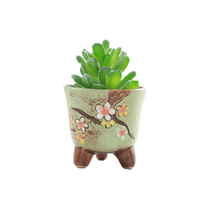Green Cup Shaped Ceramic Succulent Pot - Elkhorn Succulents