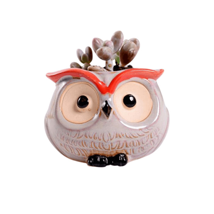 Owl Style 1 Succulent Planter Pot - Elkhorn Succulents