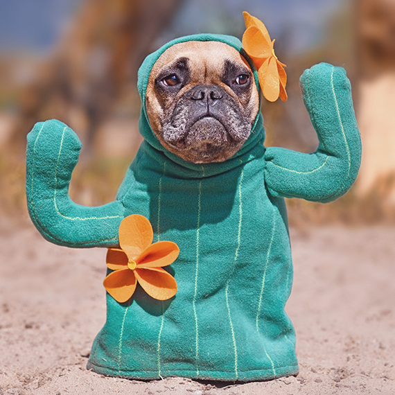 Contact Banner Image