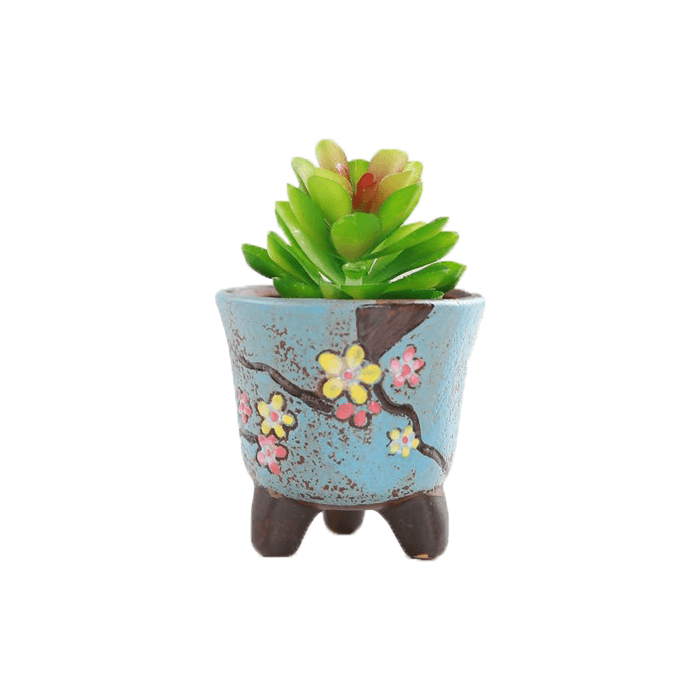 Blue Cup Shaped Ceramic Succulent Pot - Elkhorn Succulents