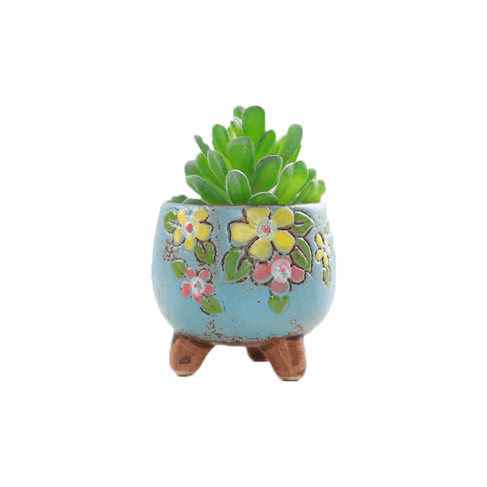 Blue Oval Shaped Ceramic Succulent Pot - Elkhorn Succulents