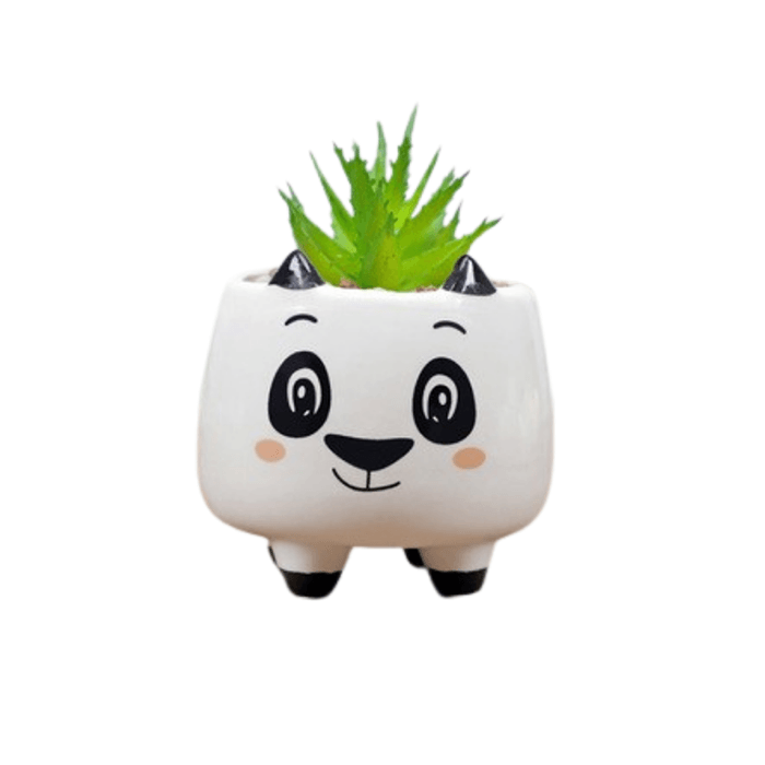 Ceramic Round Puppy Dog Succulent Plant/Pot - Style 9 - Elkhorn Succulents