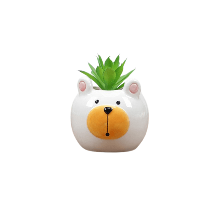 Cute Bear Succulent Planter - Elkhorn Succulents