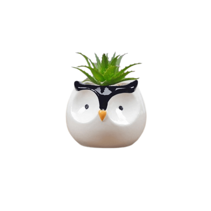 Cute Penguin Succulent Planter - Elkhorn Succulents