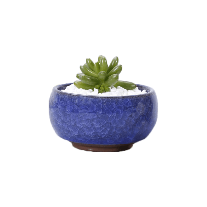Dark Blue Bowl Glazed Cracked Pattern Ceramic Succulent Planter Pot - Elkhorn Succulents