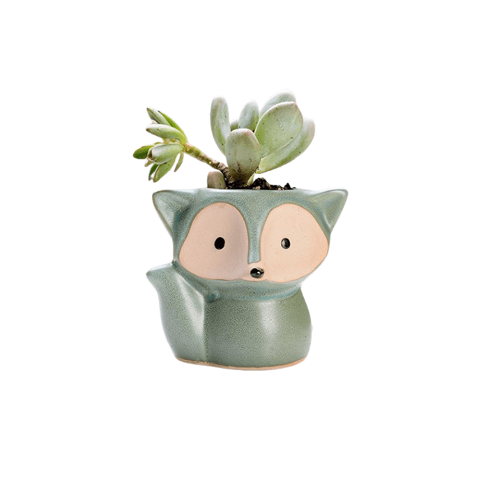 Green Fox Succulent Pot - Elkhorn Succulents