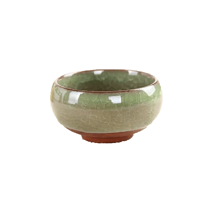 Light Green Bowl Glazed Cracked Pattern Ceramic Succulent Planter Pot - Elkhorn Succulents