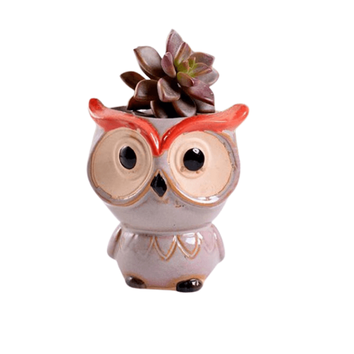 Owl Style 6 Succulent Planter Pot - Elkhorn Succulents