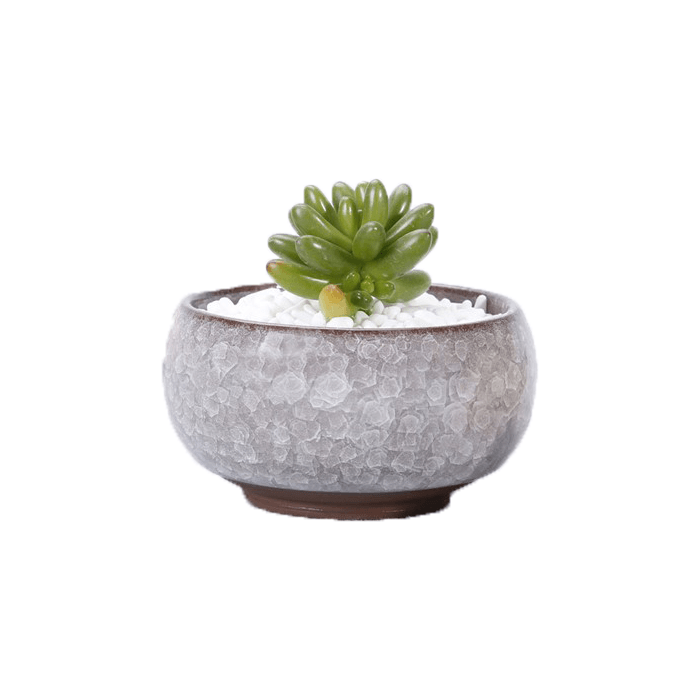 White Bowl Glazed Cracked Pattern Ceramic Succulent Planter Pot - Elkhorn Succulents